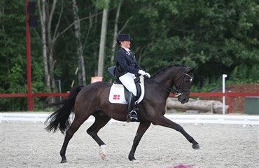 S&oslash;ndagens resultater fra Holte
