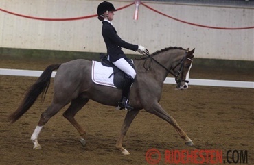 Dansk pony p&aring; det norske landshold