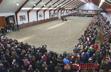 Helgstrand Dressage &aring;bent hus (opdateret)