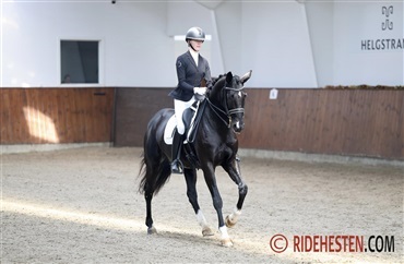 Kom til p&aring;skest&aelig;vne i Uggerhalne
