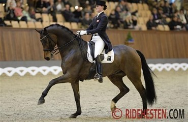 Dansk tophest til Holland