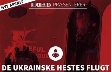 Ny podcast: Dagbog: De ukrainske hestes flugt