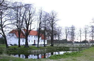 Dressur-workshop