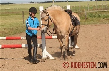 Danskernes Idr&aelig;tspris