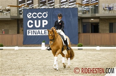 To nye ryttere optaget i DRF’s talentgruppe