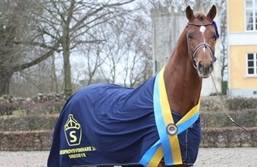 Armani Code og Sankt Erik II p&aring; fl&oslash;jen
