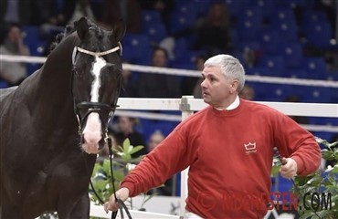 Rideklubben M&oslash;llen har 25 &aring;rs jubil&aelig;um