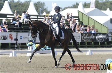 Det sker i Falsterbo i dag