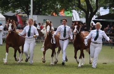 Internationalt Show p&aring; Vilhelmsborg