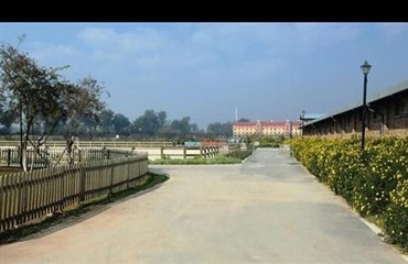 Dansk stald indleder samarbejde med Kina
