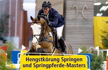 Hannoveranerhingstek&aring;ring i gang
