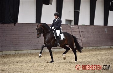 To 10-taller til Franklin og Zee Me Blue