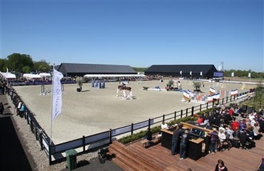 Hingstefremvisning hos Schou & Skouboe