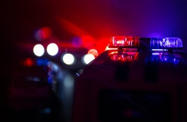 Politiet fandt seks heste - nu er de hjemme igen 