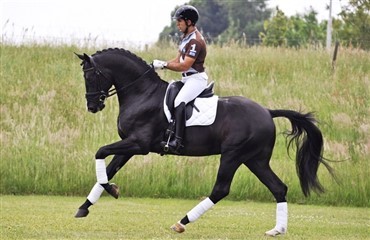 Van Olsts Everdale vandt materialpr&oslash;ven