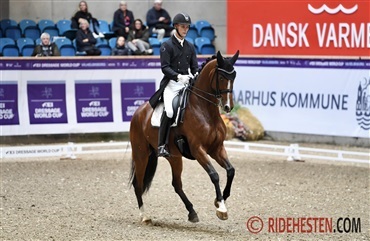 Dressurstjerner klar til julest&aelig;vne