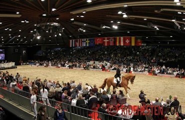 Auktionsudvalget s&oslash;ger rideheste
