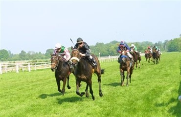 Er der stadig brug for fuldblod?