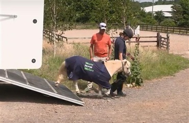 Carl Hester med ny stjerne (VIDEO)