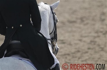 Femte kvalifikation af Dressurens Venner Cup