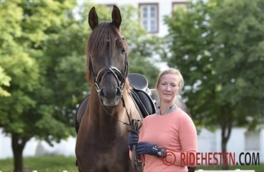 Magasinet Ridehesten er udkommet