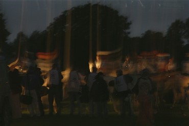 Stort dyr i nattem&oslash;rket