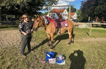 Ridehesten med i Dr&oslash;mmeholdet