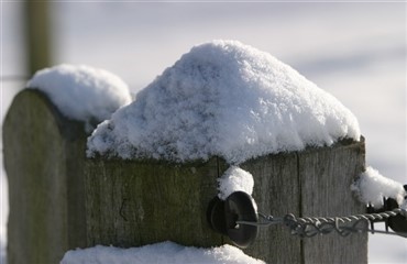 F&aring; sneen v&aelig;k fra hegnet!
