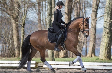 Simone Hoppe: &AElig;gte ridegl&aelig;de udspringer af god kemi mellem hest og rytter
