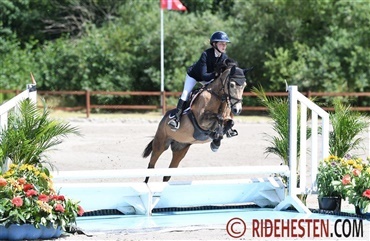 Ponyerne er klar til Baltic Cup