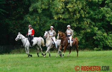 K&oslash;benhavnerridtet nu afviklet