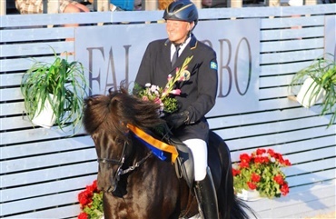 Islandske heste: Isl&aelig;nderne er kommet for at blive p&aring; Falsterbo