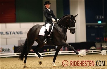 Ny Atterupgaard-hest til Dufour