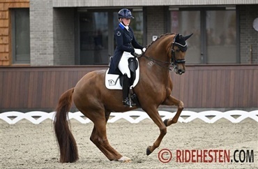 De rider i Hjallerup fra i dag