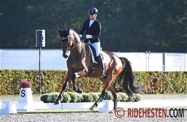 Fire finalister efter Donkey Boy