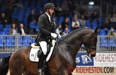 Helgstrand med 34 heste i Herning