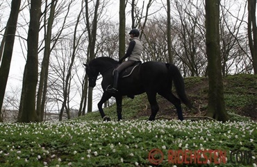 Ridning i naturen