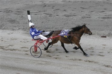 DM for travkuske indledes i Odense