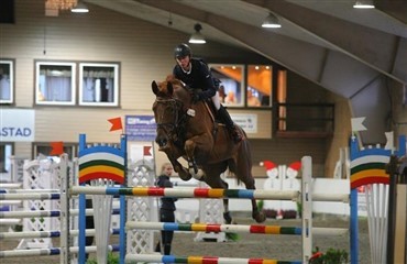 Tidligere auktionsf&oslash;l med succes i Norge