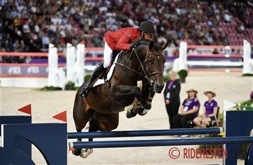 Darc de Lux er nu k&aring;ret i Dansk Varmblod