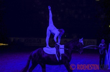 Bruttogrupper for voltigering 2026 udtaget