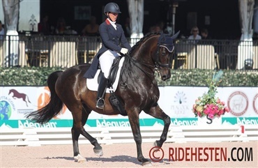 Amerikansk dressurhold p&aring; Europa-turné