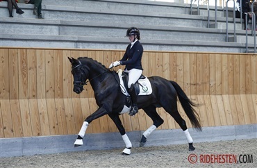 Billeder online fra &aring;rets sidste egnethedstest