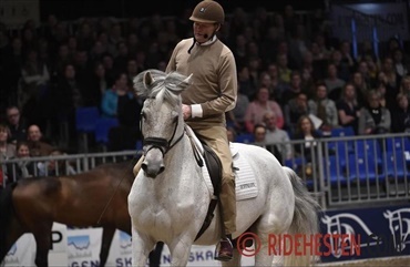 Hasse: Styrk hestens balance i galoppen