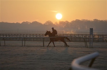 Tips til at blive et morgenmenneske