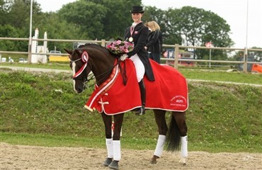 Mere guld til Carina og Blue Boy