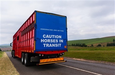 Hvordan bliver hestene ber&oslash;rt af Brexit?