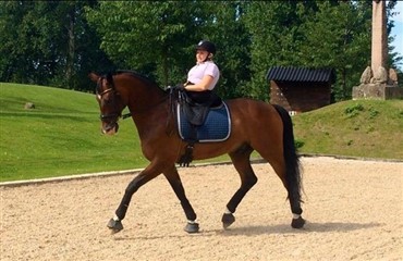 Horsebo Smarties til Stinna Tange