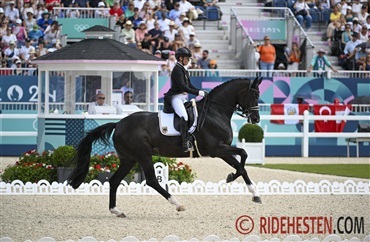 DV-heste p&aring; tysk landshold for 2026