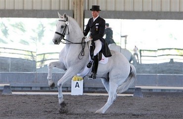 Feisal topper i USA